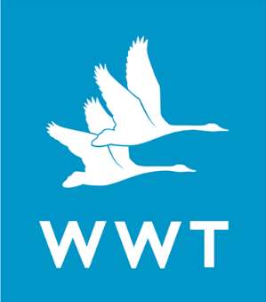 WWT